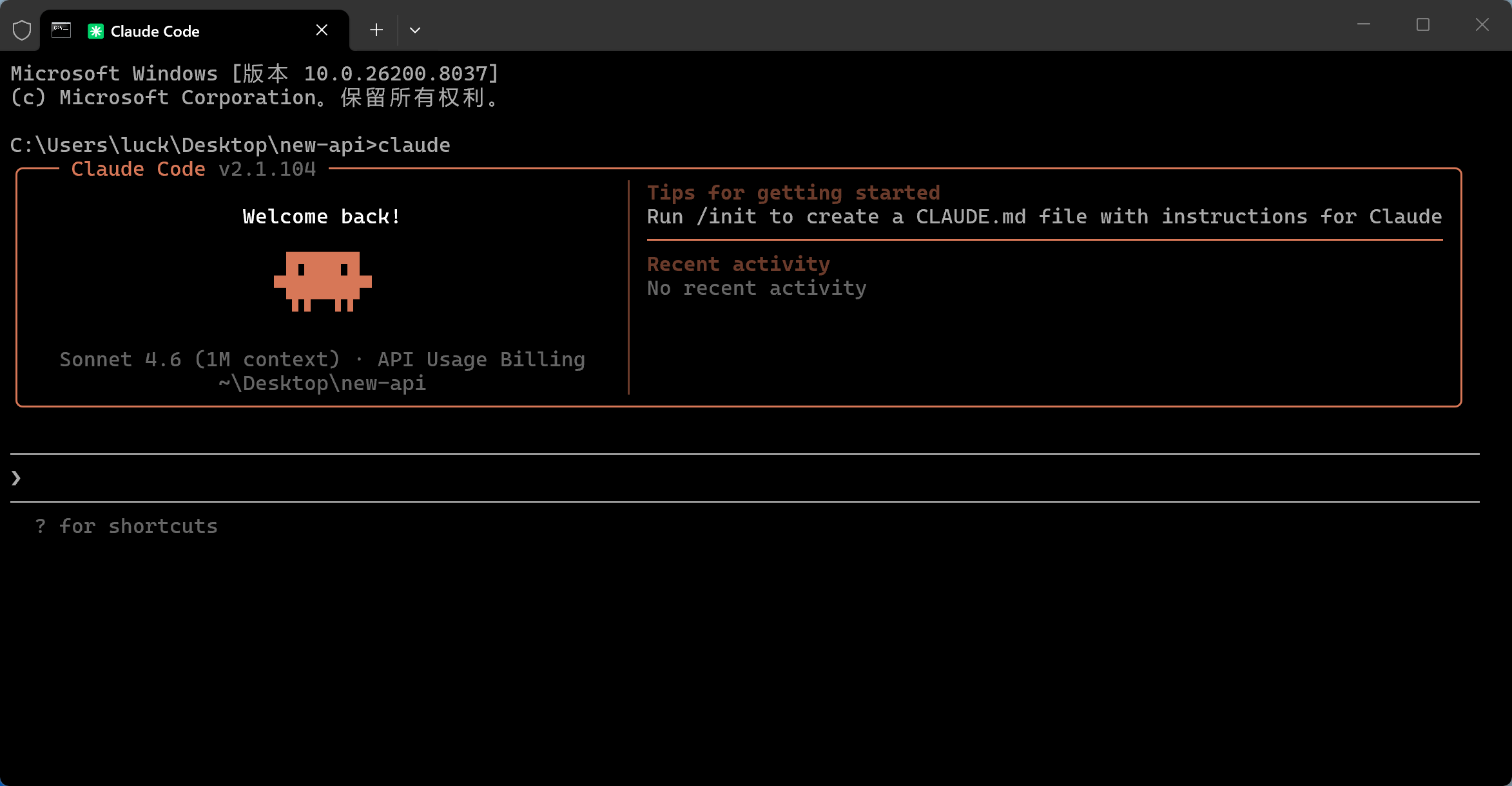 Claude Code 启动成功